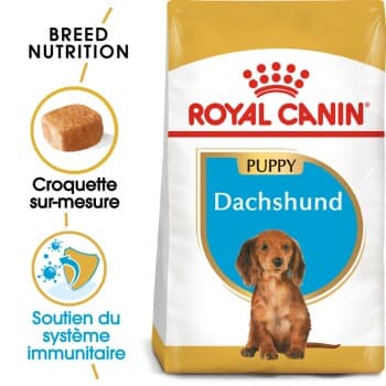 ROYAL CANIN Teckel Chiot Croquettes Chien 1,5 kg