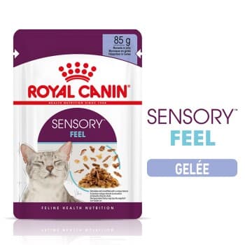 ROYAL CANIN SENSORY Feel en gelée pour les chats difficiles 12x1,02 kg