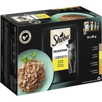 Sheba Délicatesse en gelée 12x85g