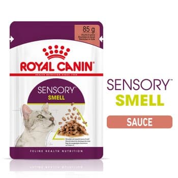 ROYAL CANIN Sensory Smell en sauce pour chats exigeants 48x85 g