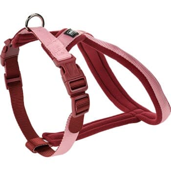 AniOne Harnais en X Classique rose S-M