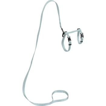AniOne harnais avec laisse pour petits chats turquoise
