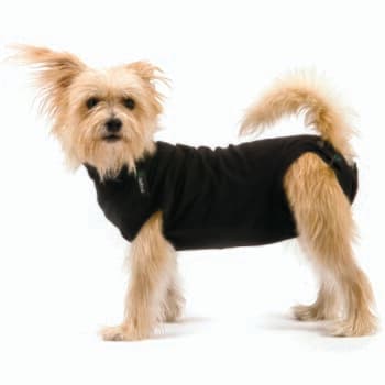 Trovet Body pour chien Recovery Suit noir XS