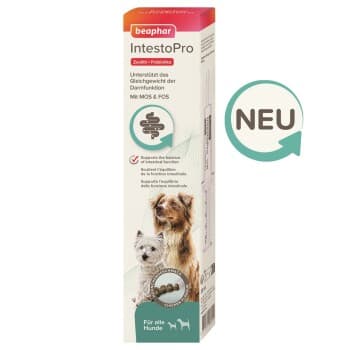 Beaphar IntestoPro Pâtée pour chiens 2 x 20 ml