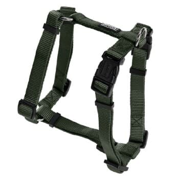 AniOne Harnais en nylon classique vert XS