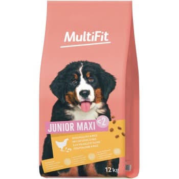 MultiFit Croquettes Chien Junior, Maxi, avec Volaille & Riz 12 kg