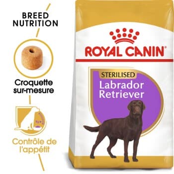 ROYAL CANIN Labrador Adulte Stérilisé Croquettes Chien 12 kg