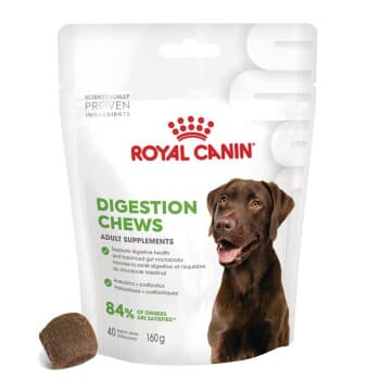 ROYAL CANIN Suppléments Digestion Adulte Friandises à mâcher 160 g