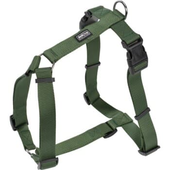 AniOne Harnais en nylon classique vert XL