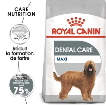 ROYAL CANIN Dental Care Maxi Croquettes Chien 9 kg