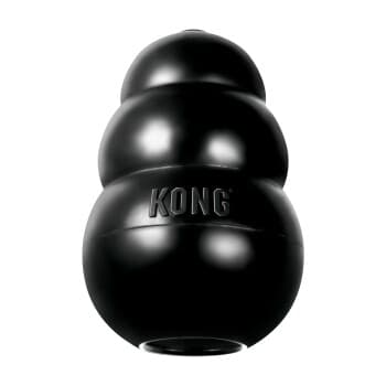 KONG Jouet pour chien Extreme S