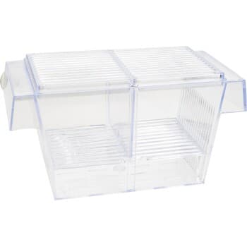 AniOne Cage de ponte