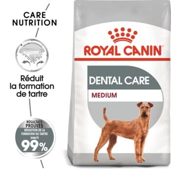 ROYAL CANIN Dental Care Medium Croquettes Chien 10 kg