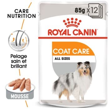 ROYAL CANIN Coat Care Adult Mousse 12x85 g
