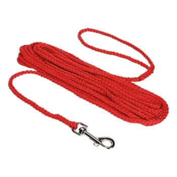 FIT+FUN Laisse à pister rouge 10 m