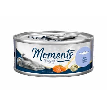 MOMENTS Adult Saumon 48x70 g