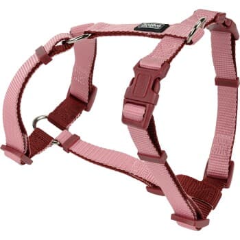 AniOne Harnais en nylon classique rose M