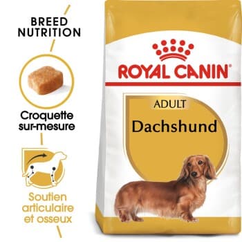 ROYAL CANIN Teckel Adulte Croquettes Chien 1,5 kg