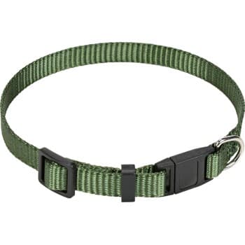 AniOne Collier pour chat vert