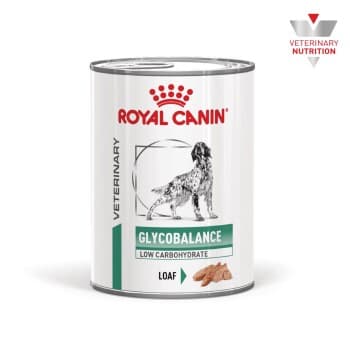 ROYAL CANIN pâtée pour chien, Adult, Glycobalance, Filet 12x195 g