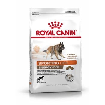 ROYAL CANIN ÉNERGIE 4300 (TRAIL) 15 kg