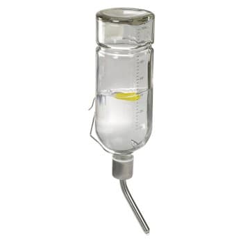 AniOne Abreuvoir en verre 350 ml