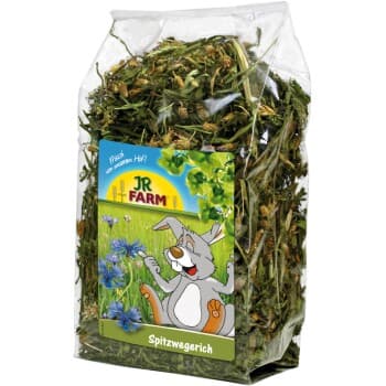 JR Farm plantain 500 g