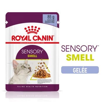ROYAL CANIN SENSORY Smell en gelée pour les chats difficiles 12x102 kg