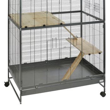 MORE Kit rongeurs pour volière Darwin