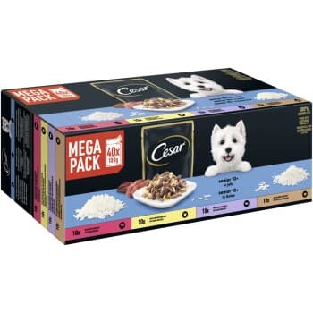 Cesar Sachet de portion Mega Pack Senior 10+ en gelée 4 variétés 40 x 100 g