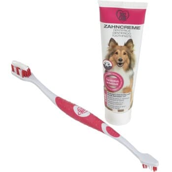 TAKE CARE Kit de soins dentaires