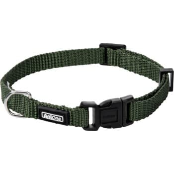 AniOne Collier en nylon Classic vert XS