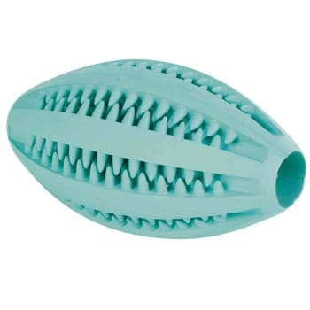 Trixie Jouet Denta Fun Rugby