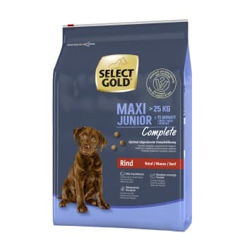 SELECT GOLD Complete Maxi Junior Bœuf 4 kg