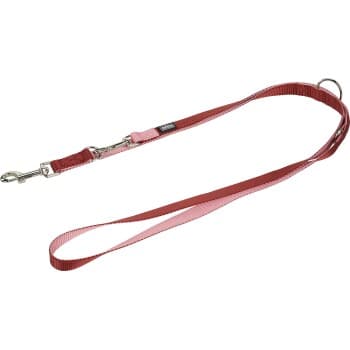 AniOne laisse de conduite 2 mètres XS