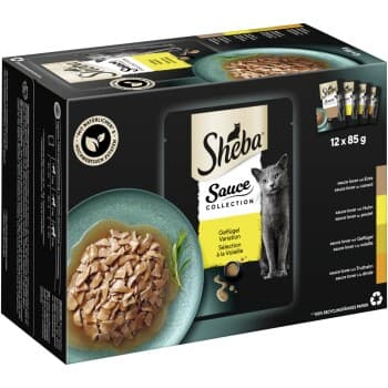 Sheba Collection de Sauces Nourriture Humide Chat Adulte, Assortiment, en Sauce 12x85 g Sélection de volaille