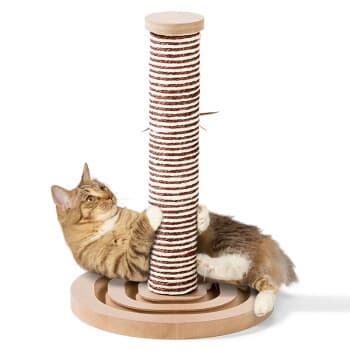 AniOne Griffoir colonne Simba