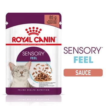 ROYAL CANIN Sensory Feel en sauce pour chats exigeants 12x85 g
