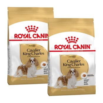 ROYAL CANIN Cavalier King Charles Adulte Croquettes Chien 2x1,5 kg
