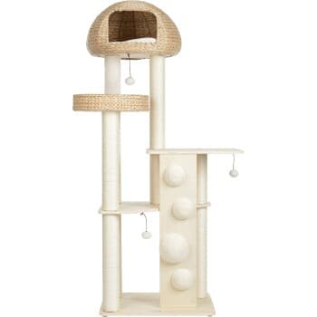 more LIFESTYLEPETS Arbre à Chat Albertus Crème