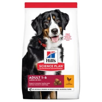Hill's Croquettes pour chien Science Plan, Large Breed Adult Avec du poulet 12 kg