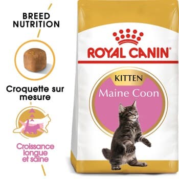 ROYAL CANIN Maine Coon Chaton Croquettes Chat 10 kg