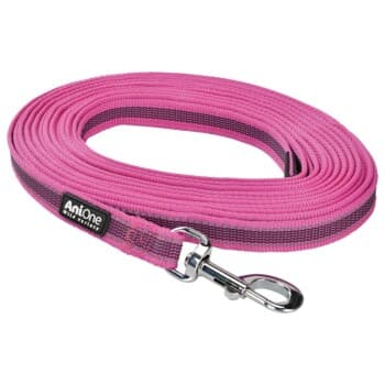AniOne ANIO Laisse rose 10 m