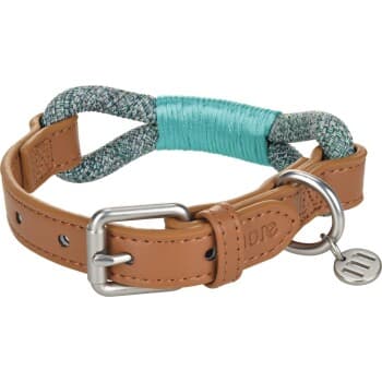 more LIFESTYLEPETS Collier Chien Corde turquoise M