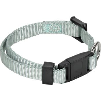 AniOne Collier pour chat Junior turquoise