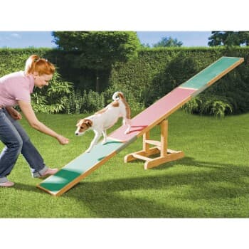 Trixie Bascule Agility