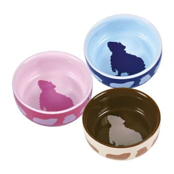 Trixie Gamelle en céramique rongeur diverses couleurs 250 ml