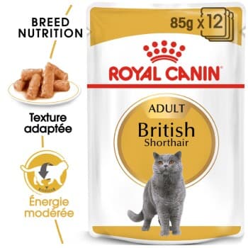 ROYAL CANIN British Shorthair Adulte en sauce 12x85 g