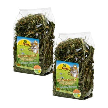 JR Farm plantain 2x500 g