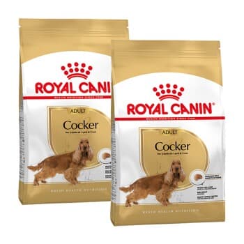 ROYAL CANIN Cocker Adulte Croquettes Chien 2x12 kg